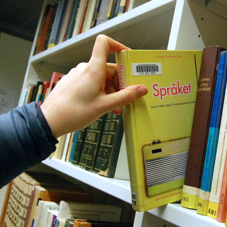 Svenskan allt sämre hos unga finskspråkiga – i högskolan kan intresset vakna