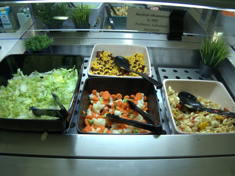 Växtbaserad skolmat kan orsaka järnbrist ⎼ men lösningar finns