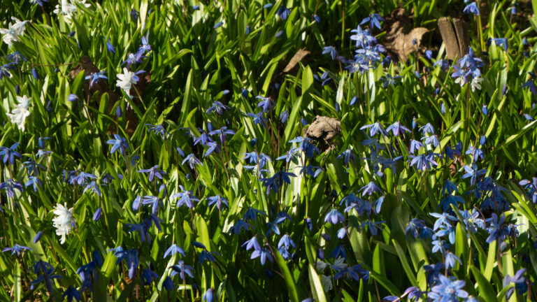 Veckans varmaste väder i dag – missa inte solen! 