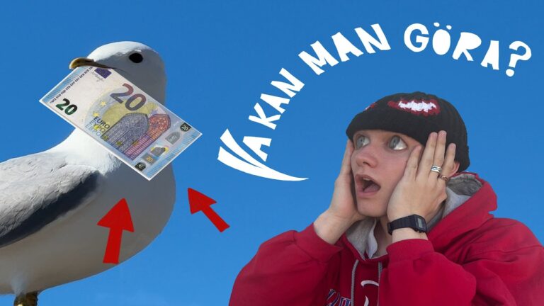 Videoreportage: Så maxar du 20 euro i Helsingfors